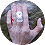 Hand with middle finger taped with eXoTendon - Finger Tape in and Flipped X configuration.